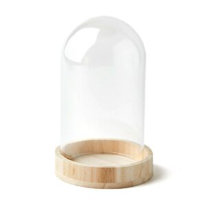 7.5 Dome Top Glass Terrarium by Park Lane