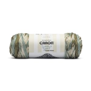 Caron Simply Soft Freckles Stripe 315yds Worsted Acrylic Yarn