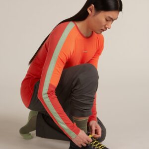 Men's Merino Hike+ Medium Crew Socks