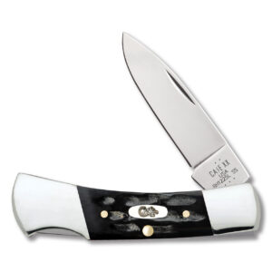 Case XX Lockback Folding Knife Jigged Buffalo Horn CA65031