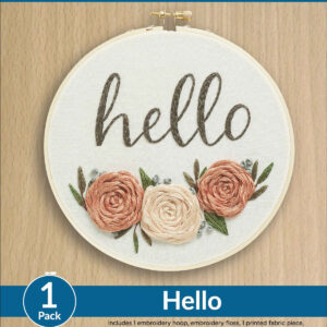 Leisure Arts 6 Hello Embroidery Kit