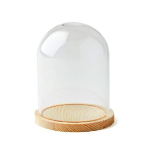 4 Dome Top Glass Terrarium by Park Lane