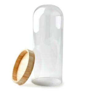 12.5 Dome Top Glass Terrarium by Park Lane